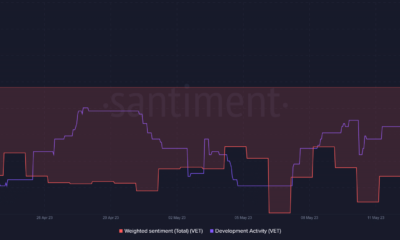 VeChain 개발 활동 및 가중치 정서