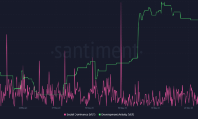 VeChain 사회적 지배 및 개발 활동