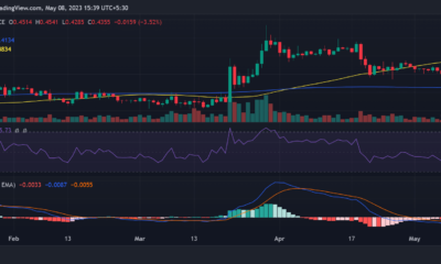 리플(XRP) 가격 움직임