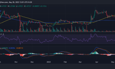 XRP/USD 가격 움직임