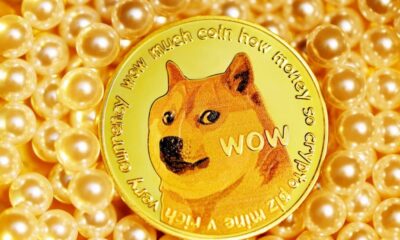 Elon Musk의 최신 단어가 DOGE와 그 소유자를 혼란스럽게 만드는 이유