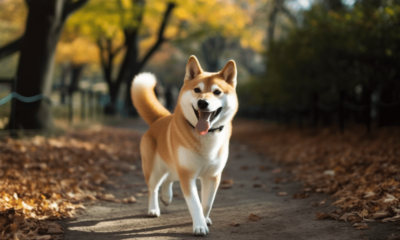 머스크는 다시 곤경에 처했지만 DOGE는 간신히 피했습니다.