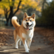 머스크는 다시 곤경에 처했지만 DOGE는 간신히 피했습니다.