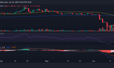 바이낸스 BNB/USD