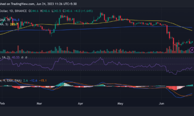 바이낸스 BNB/USD 가격 변동