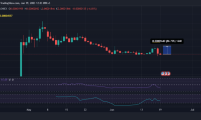 Elon Musk와 함께한 후 BOB의 미래 분석