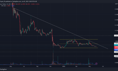 Cronos 가격 예측: ETH 고래는 CRO를 고스트하지만…