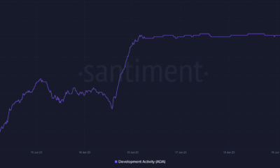 Cardano가 Node 8.1.1을 출시합니다 – 관심을 가져야 하는 이유는 다음과 같습니다.