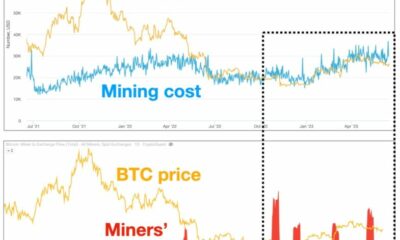 BTC의 회복이 이 광부 추세를 멈출 수 있을까요?  평가 중…