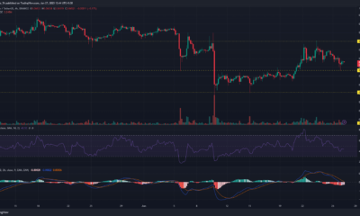 어두운 배경에 녹색 및 빨간색 막대가 있는 DOGE(도지코인) 가격 차트