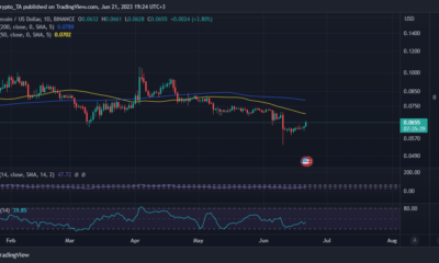 Dogecoin 가격 조치
