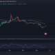 Dogecoin 가격 조치