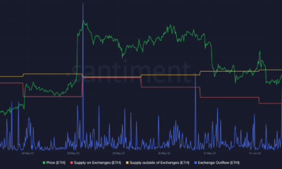 Ethereum 고래가 소유물을 판매하고 있습니까?