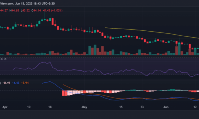 GMX 일일 가격 변동