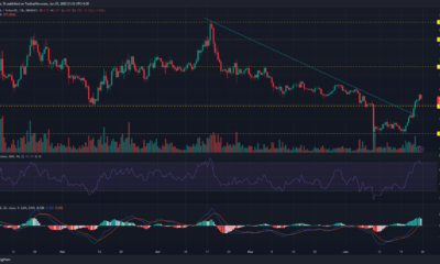 어두운 배경의 Chainlink 가격 차트
