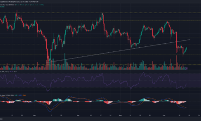 Litecoin: 부활한 황소가 약세 추세를 역전시킬 수 있습니까?
