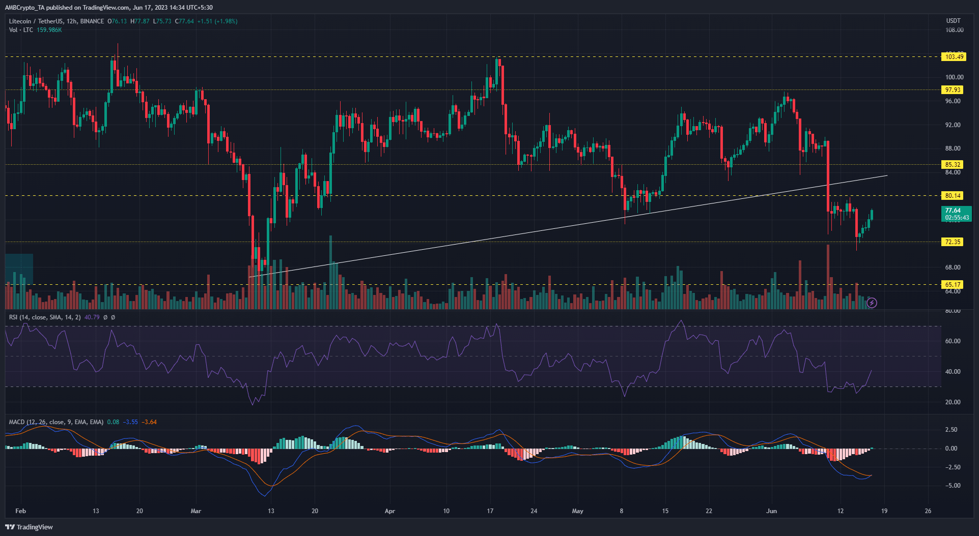 Litecoin: 부활한 황소가 약세 추세를 역전시킬 수 있습니까?