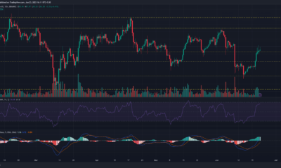 Litecoin: 황소는 80달러를 넘어 항해합니다 – 앞으로 더 많은 이익을 얻을 수 있을까요?