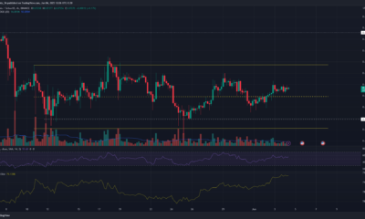 주중 최저치에서 4% 상승한 후 Dogecoin 황소가 ​​다음 주에 기대할 수 있는 것은 다음과 같습니다.