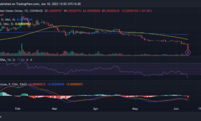 시바견 SHIB/USD