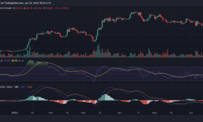 FOMC의 최신 업데이트 이후 BTC가 랠리를 기대하십니까?  당신은 실망 할 수 있습니다…