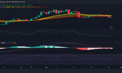 XRP의 디커플링이 의미하는 것