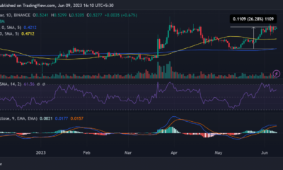 Ripple/USD 가격 움직임