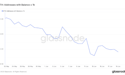 최소 1K ETH가 있는 ETH 주소