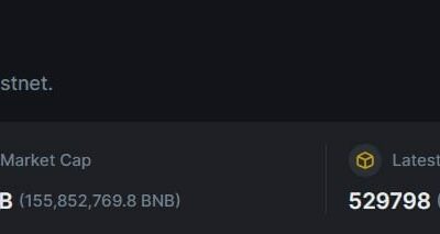 opBNB 출시가 BNB 체인에 미치는 영향 평가