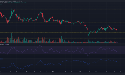 녹색 및 빨간색 막대가 있는 어두운 배경의 ATOM 가격 차트