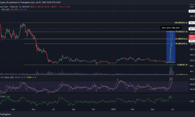 비트코인 캐시: 10일 만에 200% 인상으로 $300에 대한 희망 박차