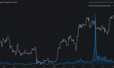 Bitcoin 광부의 수수료가 폭락하는 원인은 무엇입니까?