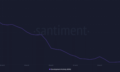 Cardano: 침몰하는 개발 활동, 가격 하락 등