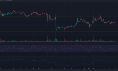 녹색 및 빨간색 막대가 있는 어두운 배경의 Dogecoin 가격 차트