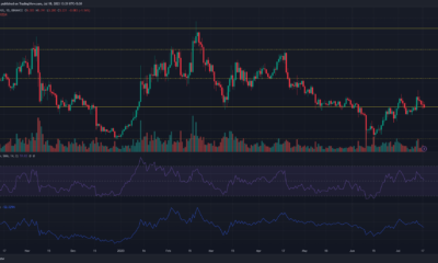 녹색 및 빨간색 가격 막대가 있는 어두운 배경의 DOT(Polkadot) 가격 차트