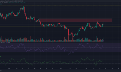 녹색 및 빨간색 가격 막대가 있는 어두운 배경의 Polkadot(DOT) 가격 차트