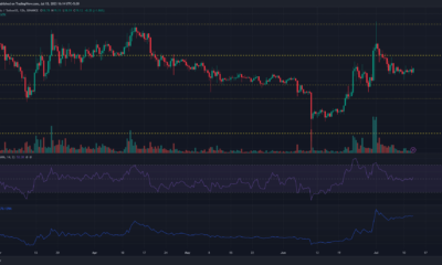 녹색 및 빨간색 막대가 있는 어두운 배경의 Ethereum Classic 가격 차트