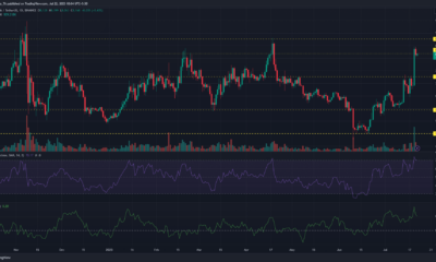 녹색 및 빨간색 가격 막대가 있는 어두운 배경의 Chainlink LINK 가격 차트