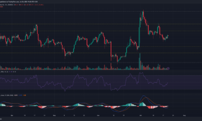 어두운 배경에 녹색 및 빨간색 가격 막대가 있는 Litecoin 가격 차트