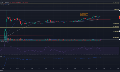 XRP 상승세는 가격이 $0.8 이상으로 상승함에 따라 둔화될 기미가 보이지 않습니다.