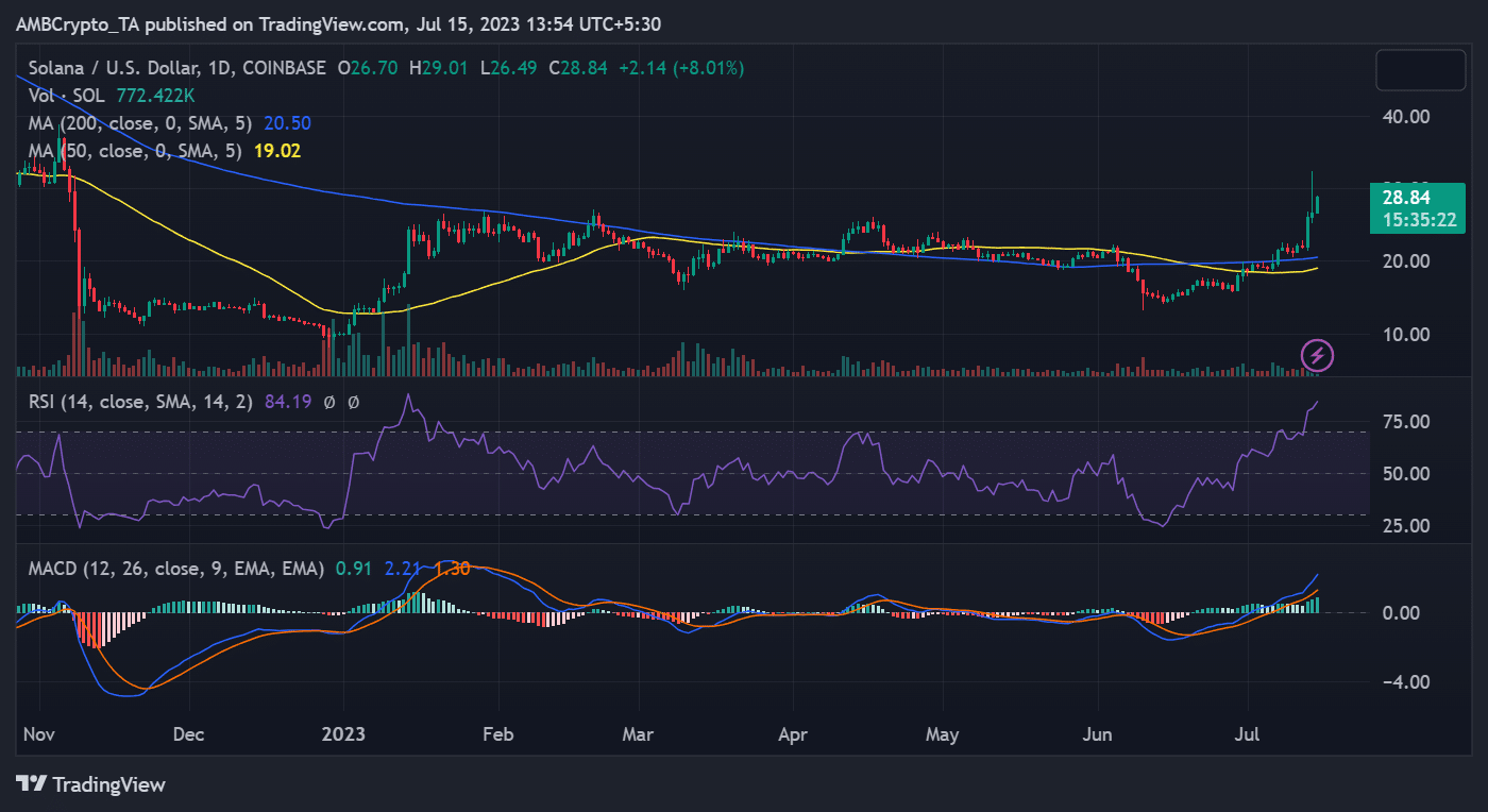 SOL/USD 가격 움직임