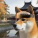 Shib: The Metaverse – 카운트다운이 시작되면 기대할 사항은 다음과 같습니다.