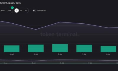 Polkadot: 이러한 업데이트가 DOT와 감소하는 지표를 보호합니까?