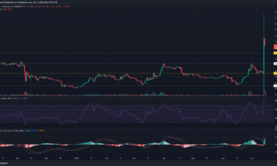 어두운 배경에 녹색 및 빨간색 막대가 있는 Stellar Lumens XLM 가격 차트