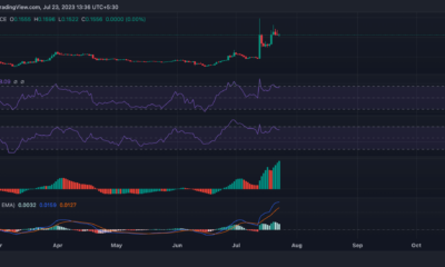 스텔라 XLM 1주일 만에 22% 급등 – 상승세 계속될까?