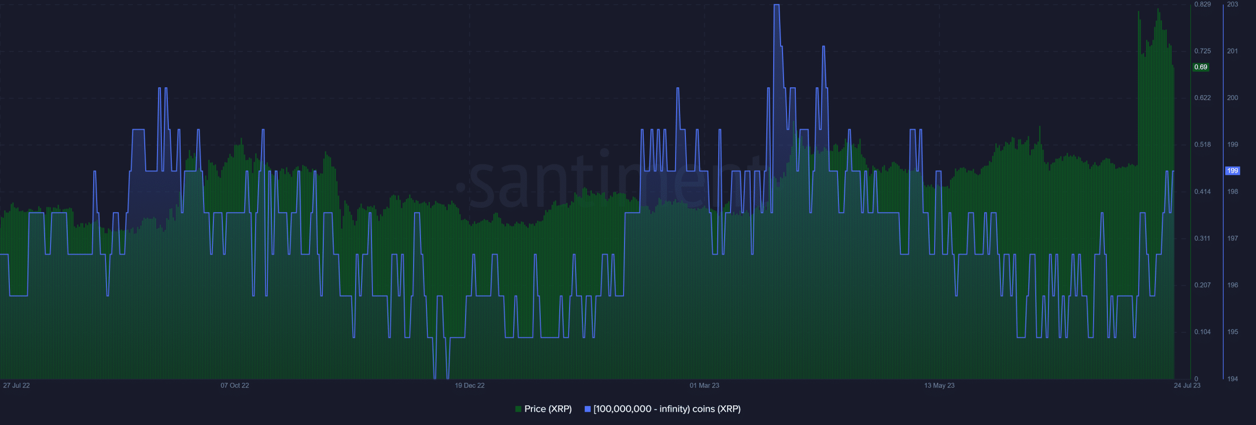 XRP 고래 지갑