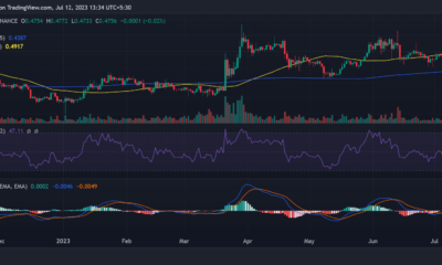 Ripple/USD 가격 이동