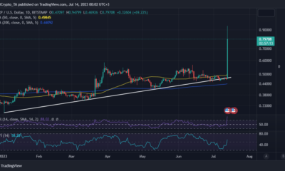 XRP 가격 조치