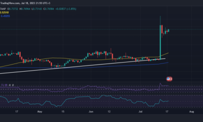 XRP 가격 조치