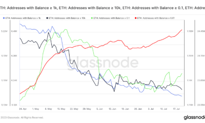 ETH 주소 활동